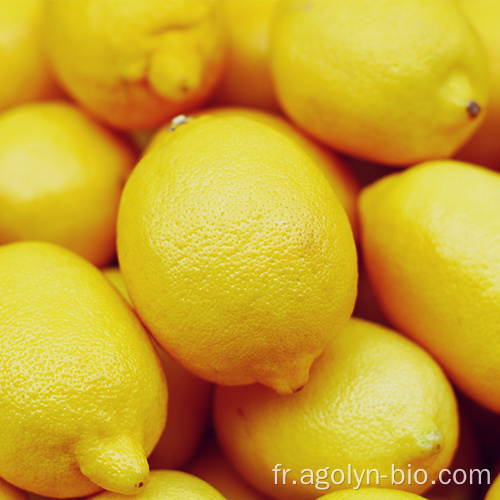 Nouvelle culture Fruits de citron frais de gros prix Prix de gros